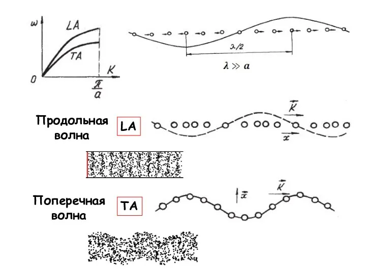 Продольная волна Поперечная волна TA LA
