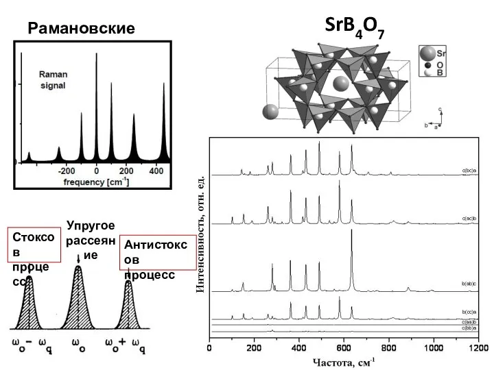 SrB4O7 Рамановские спектры Упругое рассеяние Стоксов процесс Антистоксов процесс