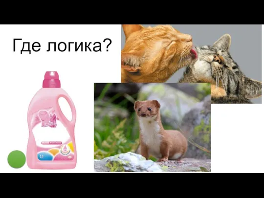 Где логика?