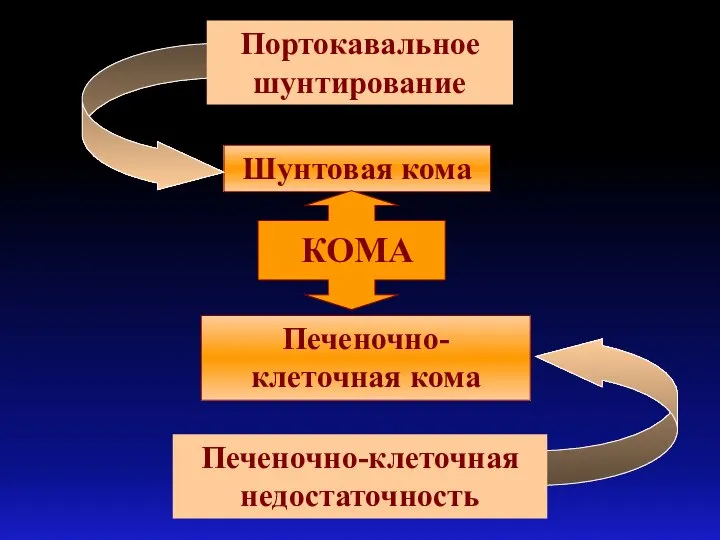 Шунтовая кома Печеночно-клеточная кома КОМА Портокавальное шунтирование Печеночно-клеточная недостаточность