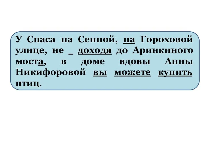 У Спаса на Сенной, на Гороховой улице, не доходя до Аринкиного моста,