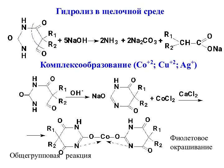 Гидролиз в щелочной среде Комплексообразование (Co+2; Cu+2; Ag+) Фиолетовое окрашивание Общегрупповая реакция