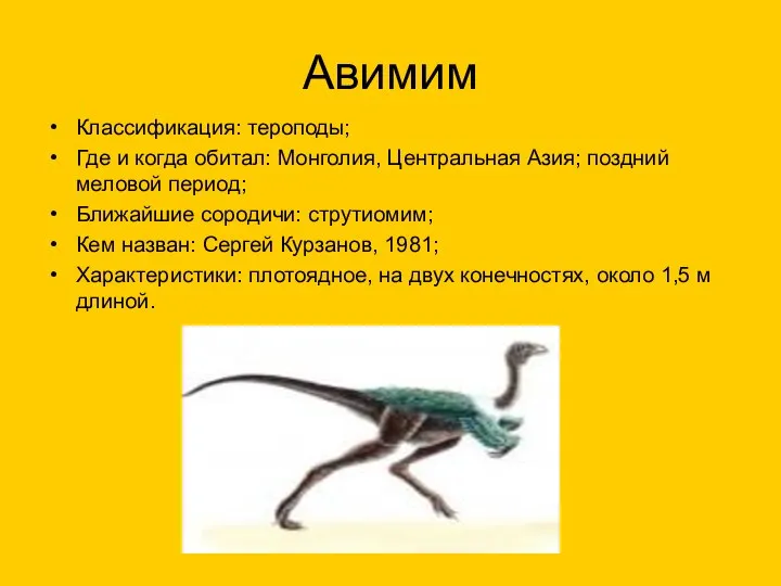 Авимим Классификация: тероподы; Где и когда обитал: Монголия, Центральная Азия; поздний меловой