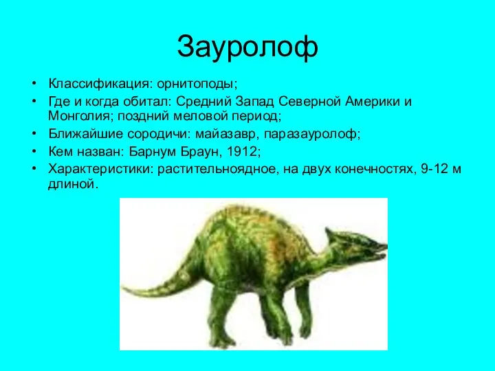 Зауролоф Классификация: орнитоподы; Где и когда обитал: Средний Запад Северной Америки и