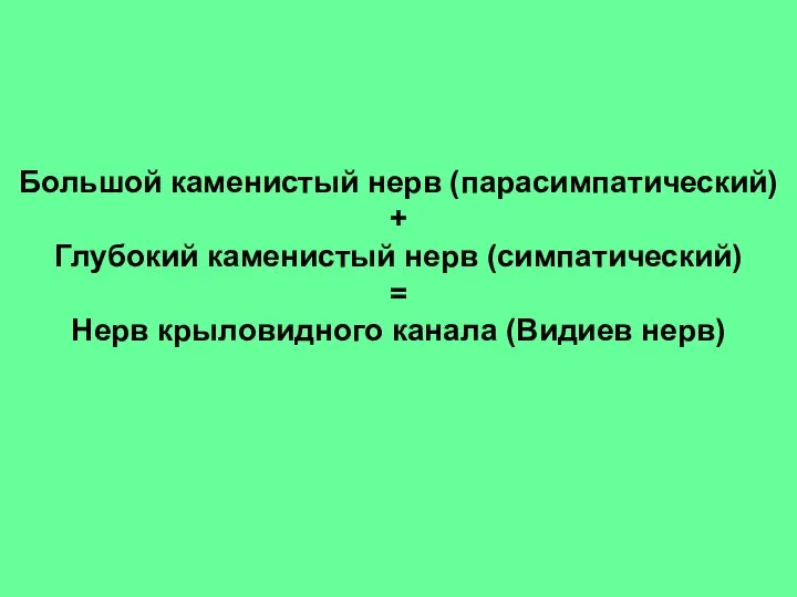 Большой каменистый нерв (парасимпатический) + Глубокий каменистый нерв (симпатический) = Нерв крыловидного канала (Видиев нерв)