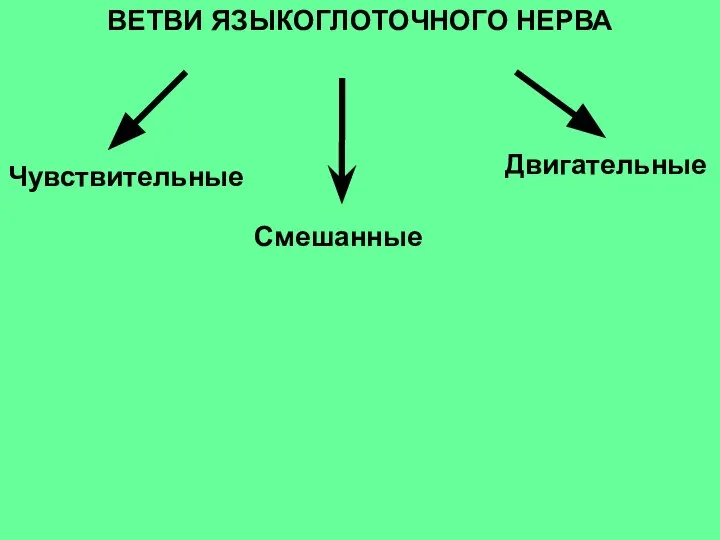 ВЕТВИ ЯЗЫКОГЛОТОЧНОГО НЕРВА Смешанные Двигательные Чувствительные