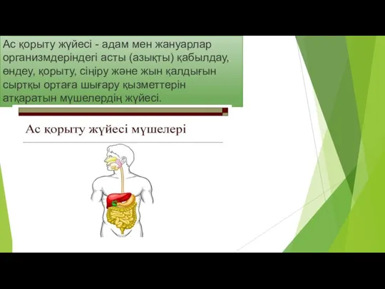 Ас қорыту жүйесі - адам мен жануарлар организмдеріндегі асты (азықты) қабылдау, өндеу,