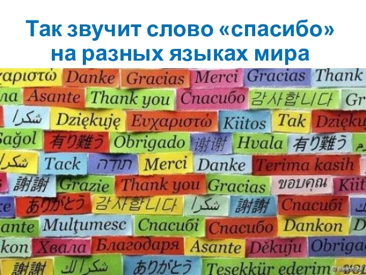 Так звучит слово «спасибо» на разных языках мира
