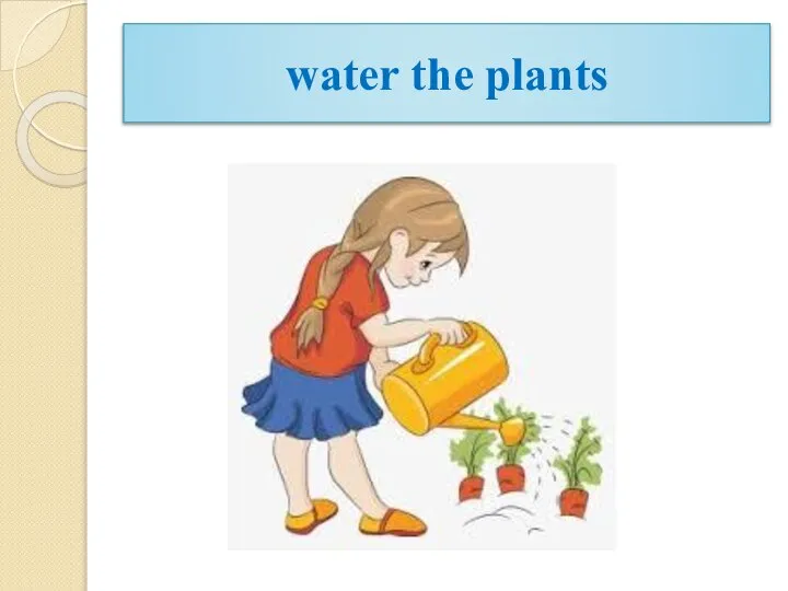 water the plants