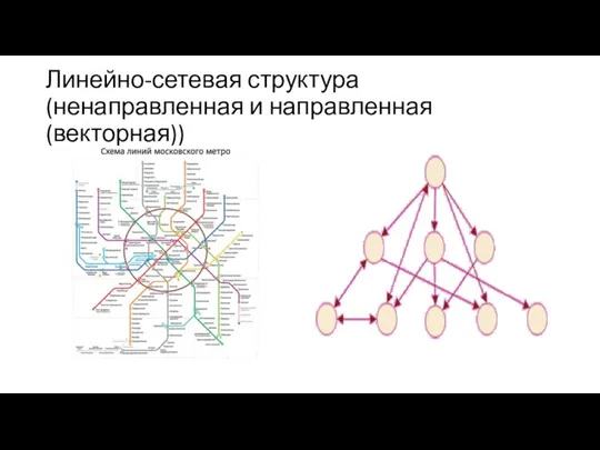 Линейно-сетевая структура (ненаправленная и направленная (векторная))