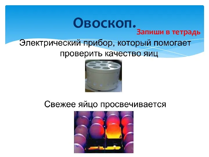 Овоскоп. Запиши в тетрадь