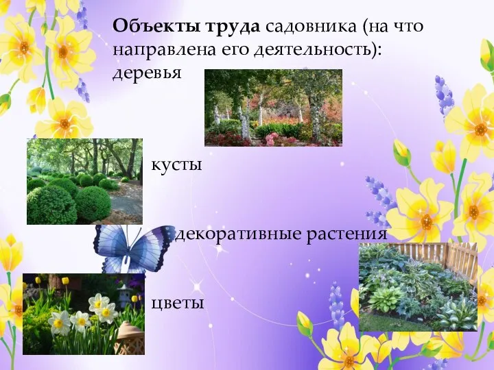 Объекты труда садовника (на что направлена его деятельность): деревья кусты декоративные растения цветы