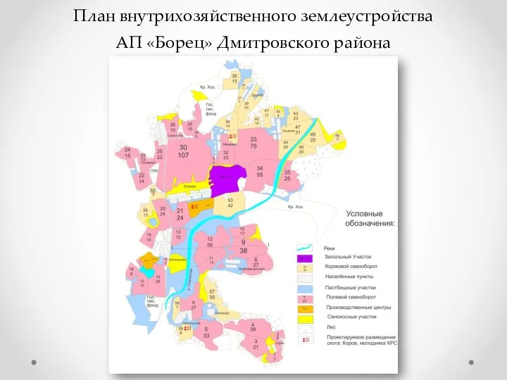План внутрихозяйственного землеустройства АП «Борец» Дмитровского района