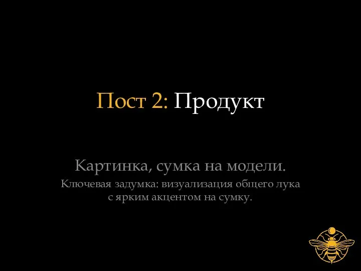 Пост 2: Продукт Картинка, сумка на модели. Ключевая задумка: визуализация общего лука