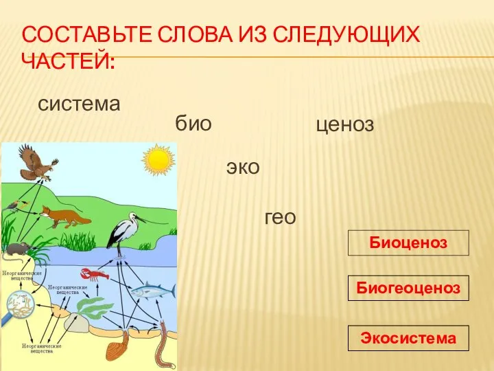 био система эко гео ценоз СОСТАВЬТЕ СЛОВА ИЗ СЛЕДУЮЩИХ ЧАСТЕЙ: Биоценоз Биогеоценоз Экосистема