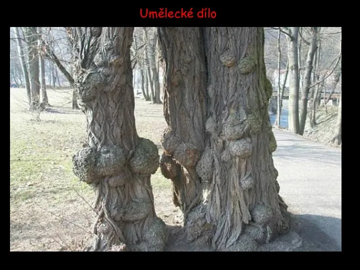 Umělecké dílo