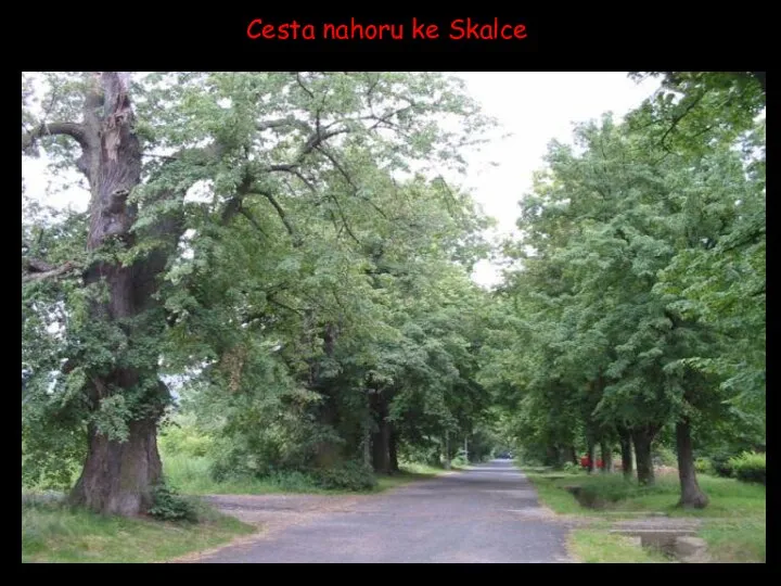 Cesta nahoru ke Skalce