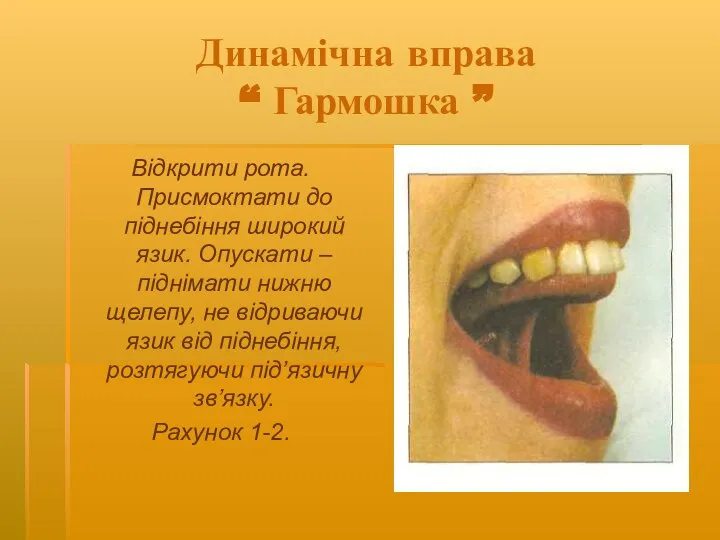 Динамічна вправа “ Гармошка ” Відкрити рота. Присмоктати до піднебіння широкий язик.