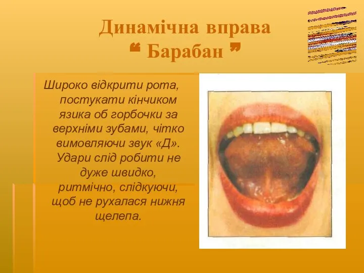 Динамічна вправа “ Барабан ” Широко відкрити рота, постукати кінчиком язика об