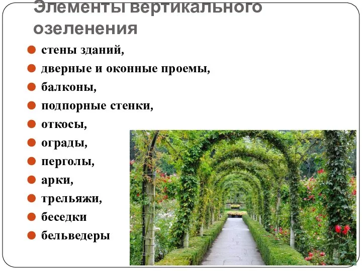 Элементы вертикального озеленения стены зданий, дверные и оконные проемы, балконы, подпорные стенки,