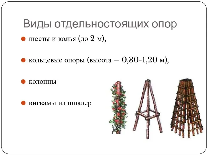 Виды отдельностоящих опор шесты и колья (до 2 м), кольцевые опоры (высота