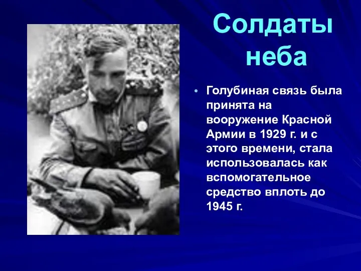 Солдаты неба Голубиная связь была принята на вооружение Красной Армии в 1929