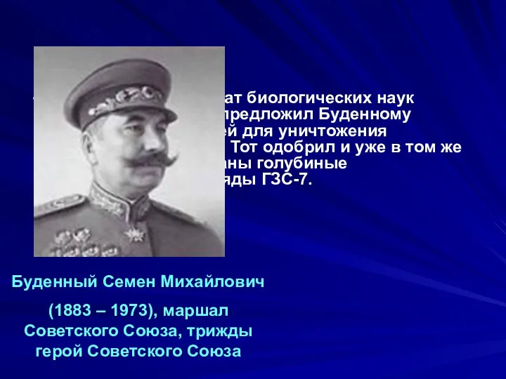 А в 1941 года кандидат биологических наук Александр Колосов предложил Буденному использовать