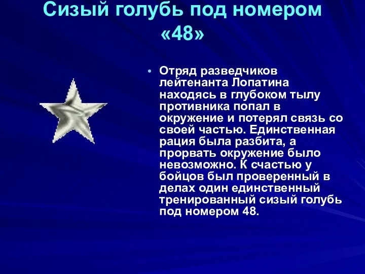 Сизый голубь под номером «48» Отряд разведчиков лейтенанта Лопатина находясь в глубоком