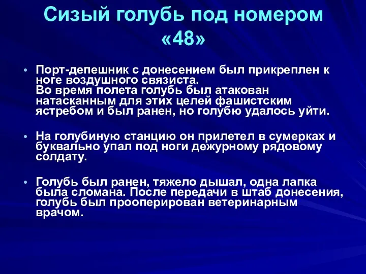 Сизый голубь под номером «48» Порт-депешник с донесением был прикреплен к ноге