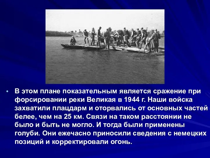 В этом плане показательным является сражение при форсировании реки Великая в 1944