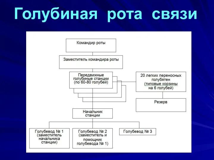 Голубиная рота связи