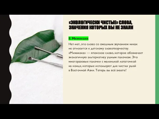 «ЭКОЛОГИЧЕСКИ ЧИСТЫЕ» СЛОВА, ЗНАЧЕНИЯ КОТОРЫХ ВЫ НЕ ЗНАЛИ 8. Мимикаки Нет-нет, это