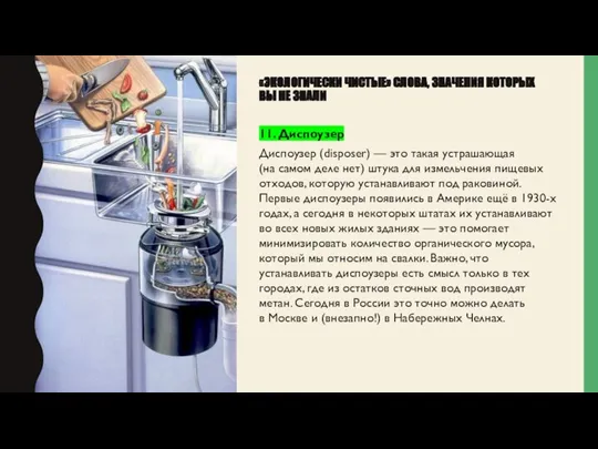 «ЭКОЛОГИЧЕСКИ ЧИСТЫЕ» СЛОВА, ЗНАЧЕНИЯ КОТОРЫХ ВЫ НЕ ЗНАЛИ 11. Диспоузер Диспоузер (disposer)