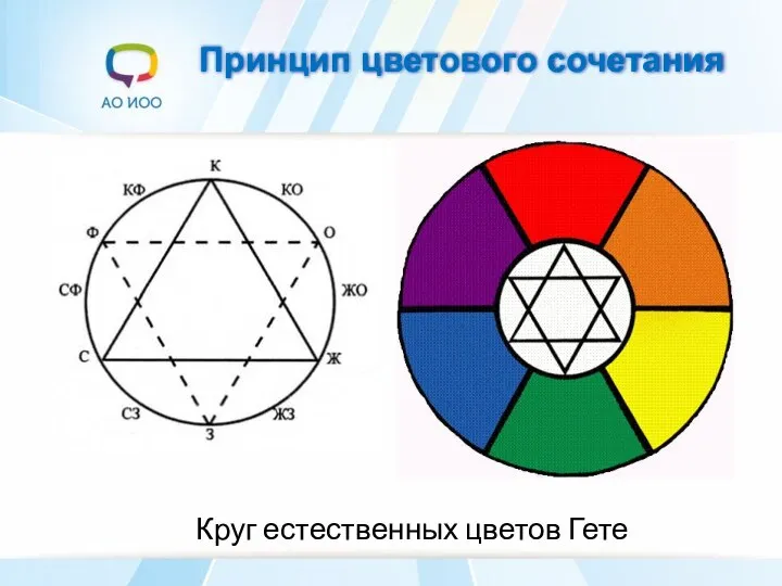 Принцип цветового сочетания Круг естественных цветов Гете