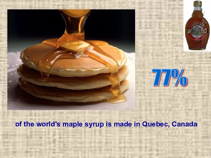 77% of the world’s maple syrup is made in Quebec, Canada