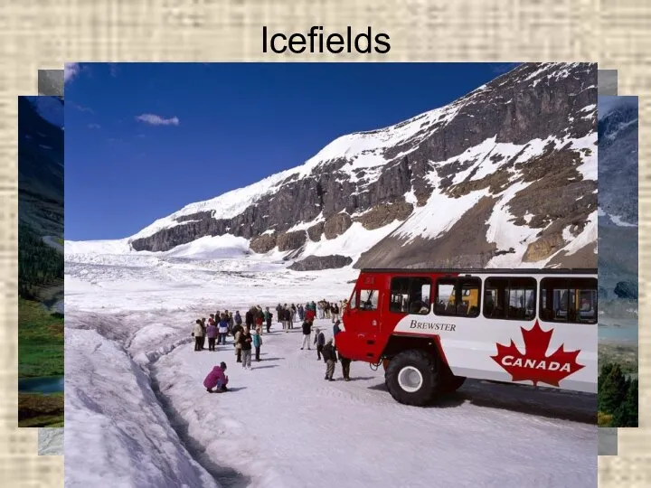 Icefields