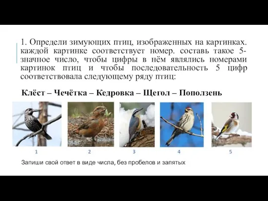 1. Определи зимующих птиц, изображенных на картинках. каждой картинке соответствует номер. составь
