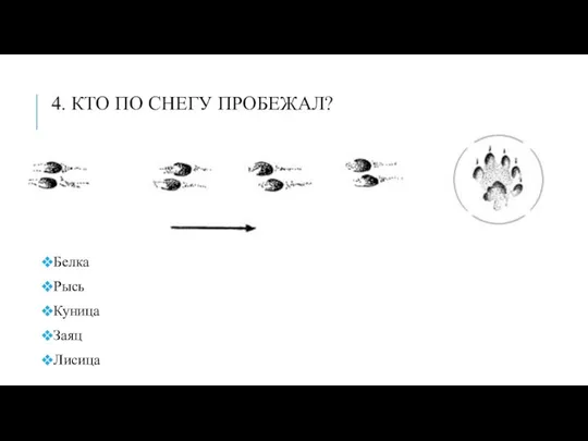 4. КТО ПО СНЕГУ ПРОБЕЖАЛ? Белка Рысь Куница Заяц Лисица