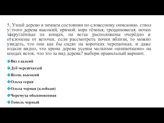 5. Узнай дерево в зимнем состоянии по словесному описанию. ствол у этого