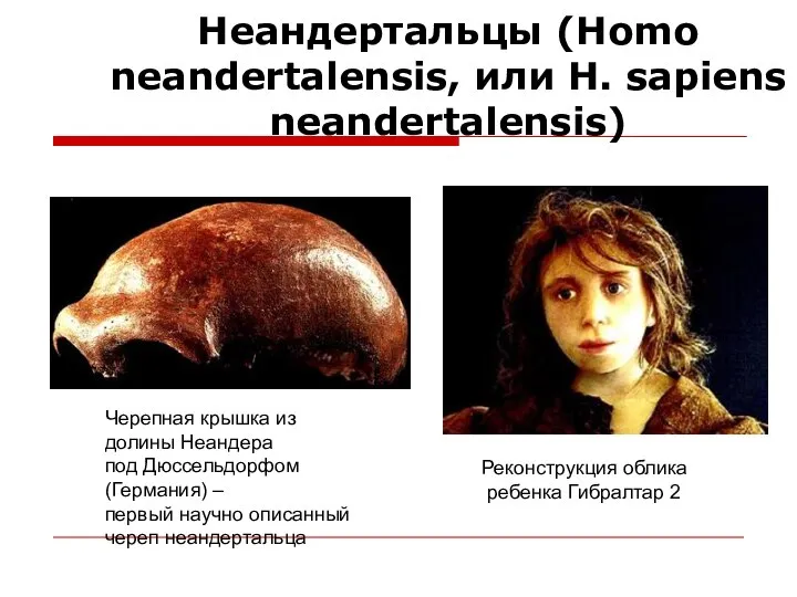 Неандертальцы (Homo neandertalensis, или H. sapiens neandertalensis) Реконструкция облика ребенка Гибралтар 2