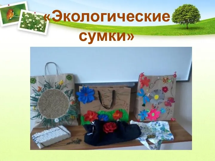 «Экологические сумки»