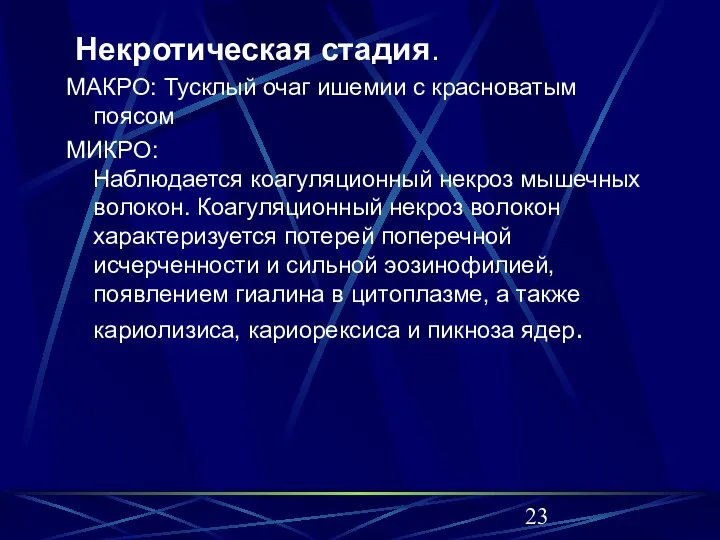 Некротическая стадия. МАКРО: Тусклый очаг ишемии с красноватым поясом МИКРО: Наблюдается коагуляционный