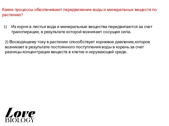 Какие процессы обеспечивают передвижение воды и минеральных веществ по растению? Из корня