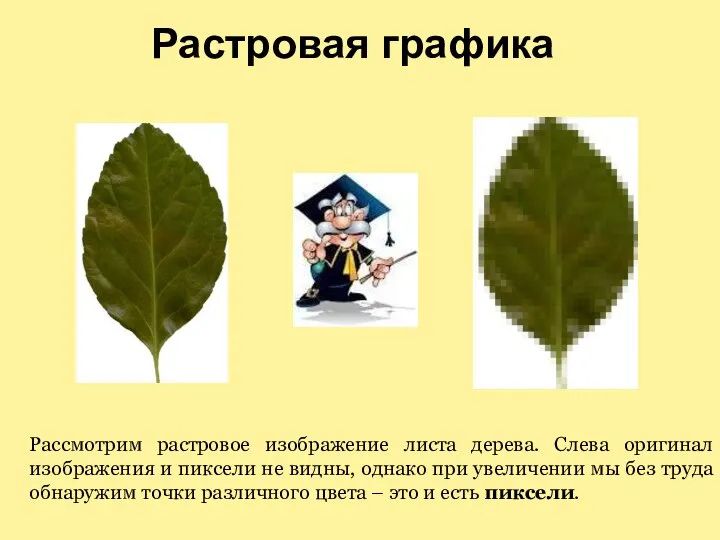 Растровая графика Рассмотрим растровое изображение листа дерева. Слева оригинал изображения и пиксели