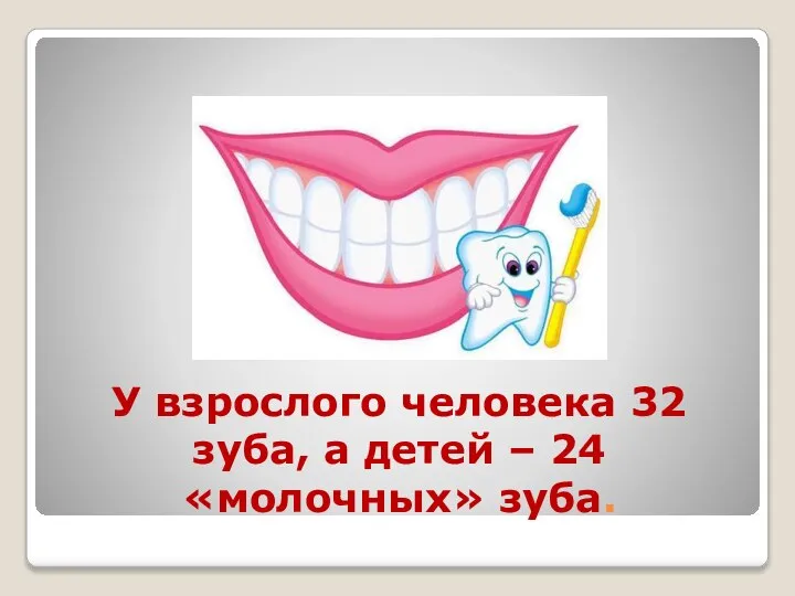 У взрослого человека 32 зуба, а детей – 24 «молочных» зуба.