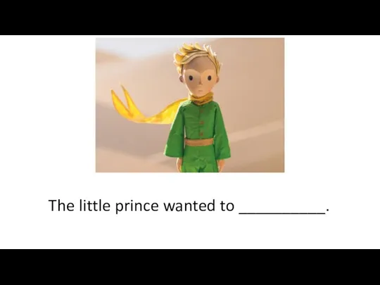 The little prince wanted to __________.