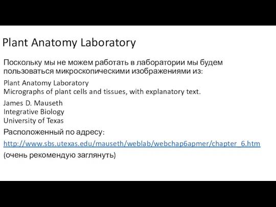 Plant Anatomy Laboratory Поскольку мы не можем работать в лаборатории мы будем