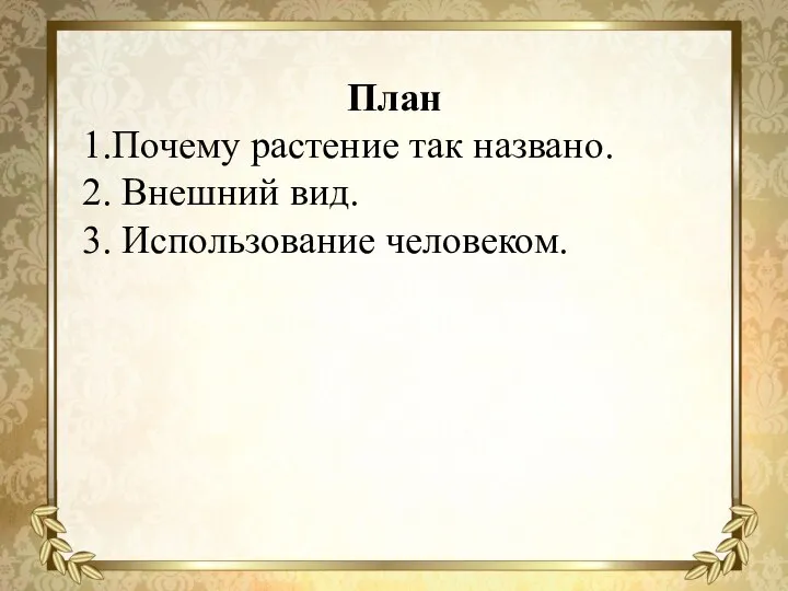 План 1.Почему растение так названо. 2. Внешний вид. 3. Использование человеком.