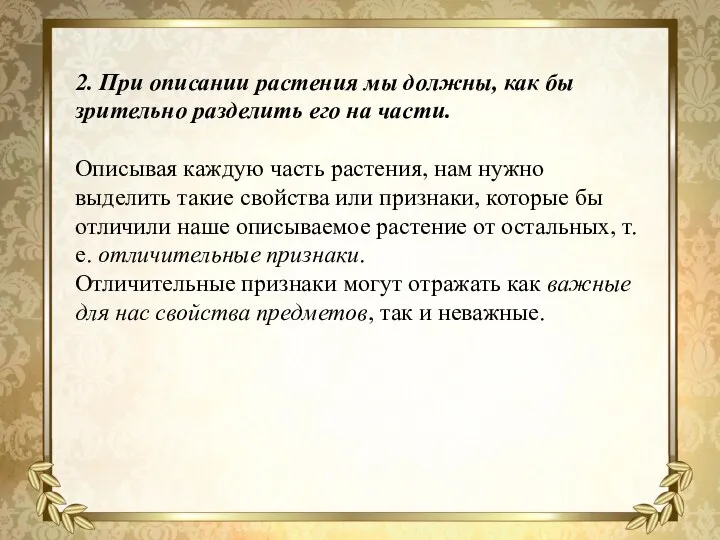 2. При описании растения мы должны, как бы зрительно разделить его на