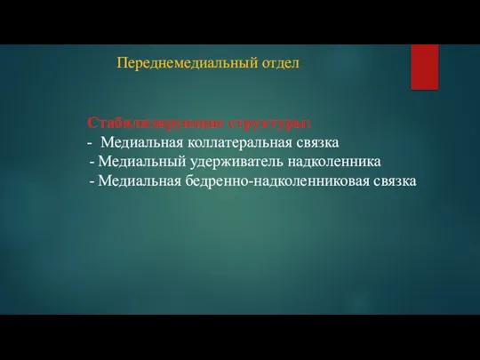 Переднемедиальный отдел Стабилизирующие структуры: - Медиальная коллатеральная связка Медиальный удерживатель надколенника Медиальная бедренно-надколенниковая связка